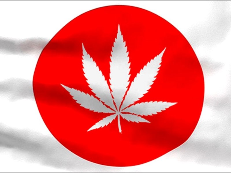 Medical Marijuana legalisation in Japan is currently underway