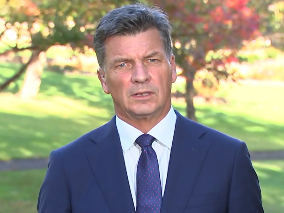 Light seen through the tunnel: 80% of tobacco tax to be cut by the Australian opposition, if implemented reducing cigarette prices by AUS $25 and legalising vapes